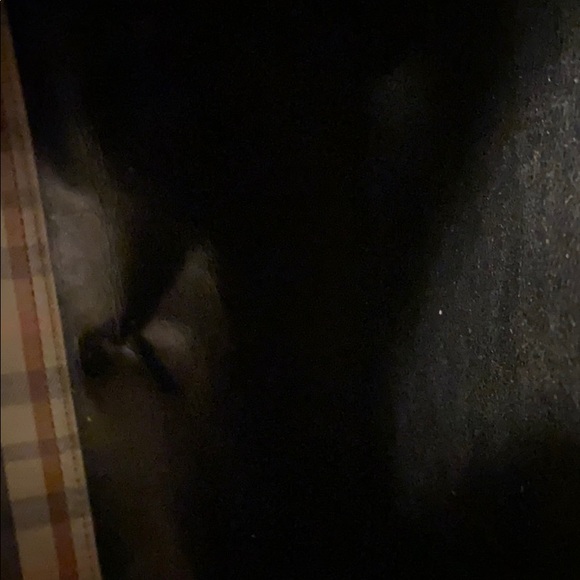 DAKS LONDON PLAID LARGE HANDBAG WITH SCARF - Picture 13 of 16